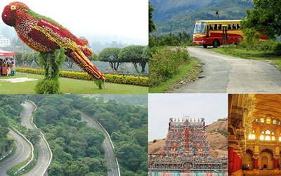 alwin-tours-and-travels